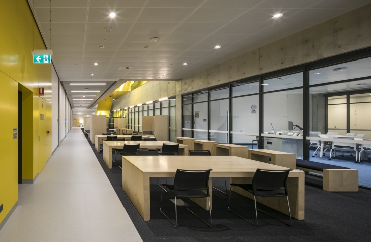 UNSW Science and Engineering Building student study spaces with yellow walls and timber tables