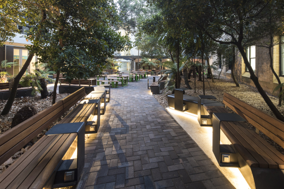 Courtyard External Student Led Space main