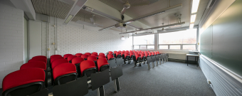 K-H13-1043 - Red Centre Central Wing 1043 K-H13-1043 - Red Centre Central Wing 1043