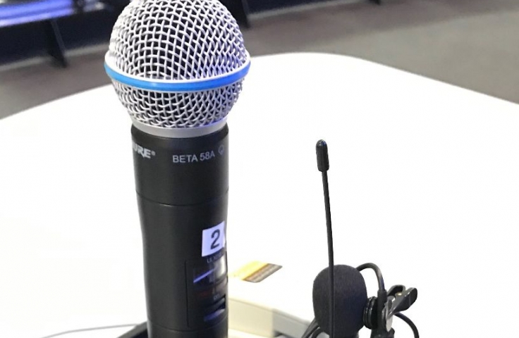 Dual microphones