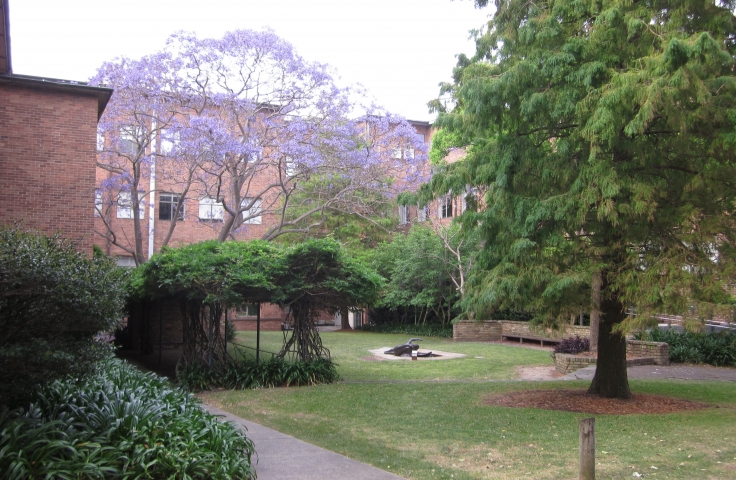 Old Main Building